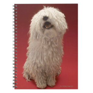 Cute Komondor Dog Notebook