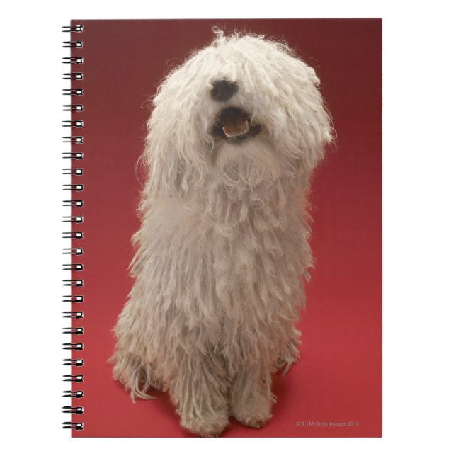 Cute Komondor Dog Notebook (Front)