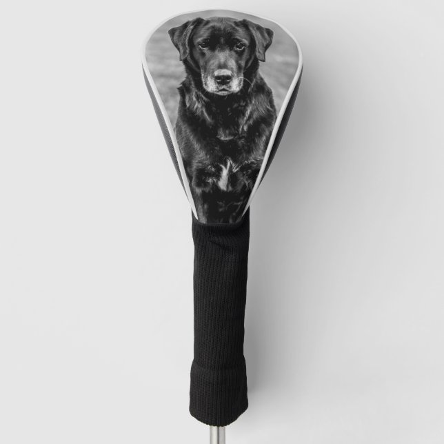 Cute Labrador Black Dog Puppy Pet  Golf Head Cover (Front)