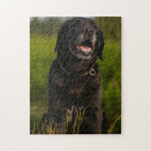 Cute Labrador Black Dog Puppy Pet Jigsaw Puzzle