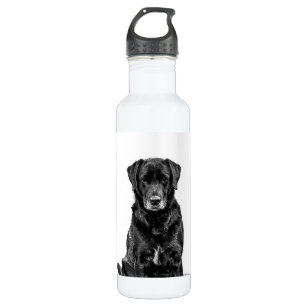 Cute Labrador Black Dog Puppy Pet Sketch 710 Ml Water Bottle