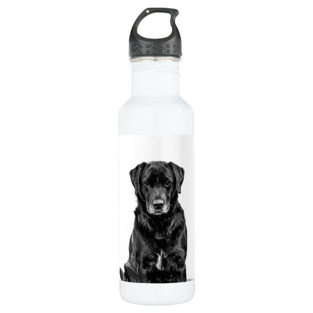 Cute Labrador Black Dog Puppy Pet Sketch 710 Ml Water Bottle (Front)