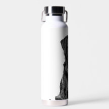 Cute Labrador Black Dog Puppy Pet