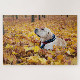 Cute Labrador Dog In Fall Leaves Jigsaw Puzzle