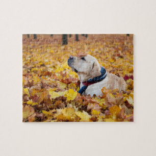 Cute Labrador Dog In Fall Leaves Jigsaw Puzzle