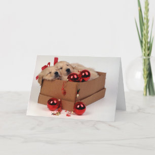 Cute Labrador puppies with x-mas baubles Holiday Card