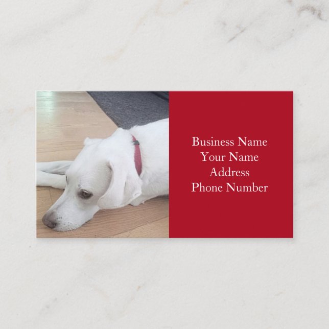Cute Labrador Retriever Mix Dog Red Business Card (Front)