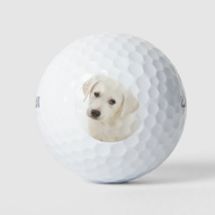 Cute  Labrador Retriever Puppy Golf Balls