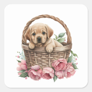 Cute Labrador retriever puppy in a basket Square Sticker