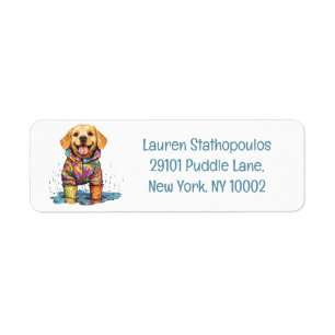 Cute Labrador Retriever Rain Puddle