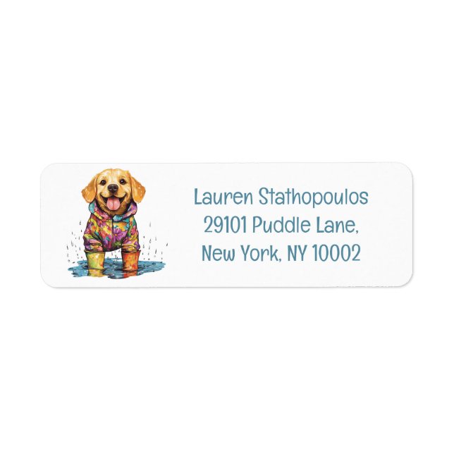Cute Labrador Retriever Rain Puddle (Front)