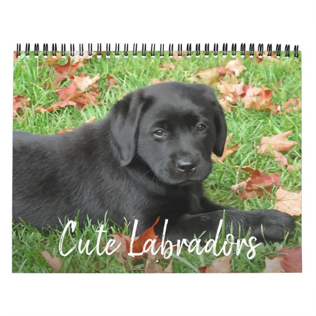 Cute Labradors - Black Labrador Retriever Dog Calendar (Cover)