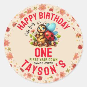 Cute Ladybug 1st Birthday Bug Theme Party Classic Round Sticker