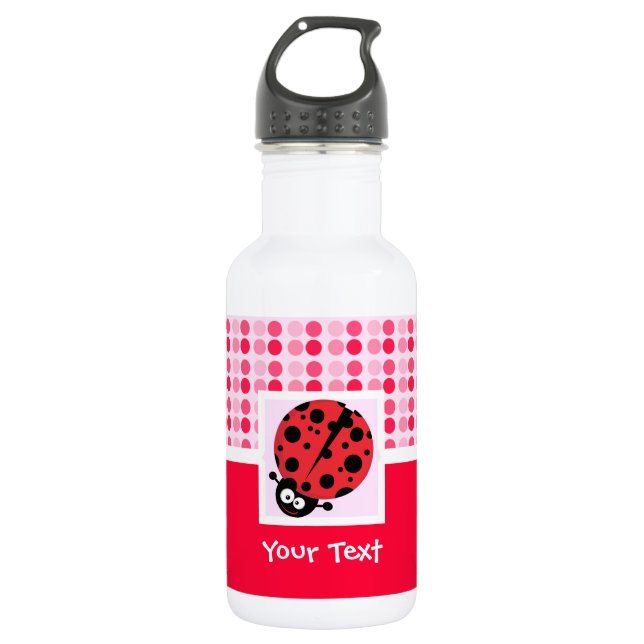 Cute Ladybug 532 Ml Water Bottle (Front)