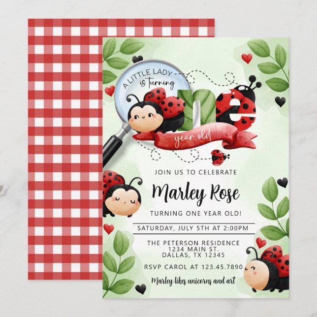 Cute Ladybug Beetle turning ONE 1st Birthday Party Invitation (Front/Back)