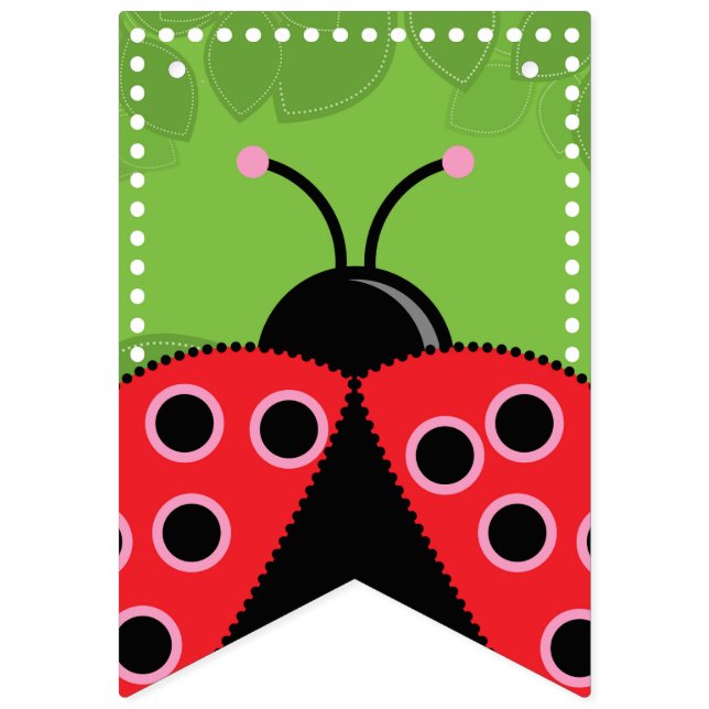 Cute Ladybug Birthday Bunting Flags/Banner (First Flag)