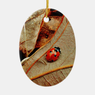 cute Ladybug costume personalise name gift Ceramic Tree Decoration