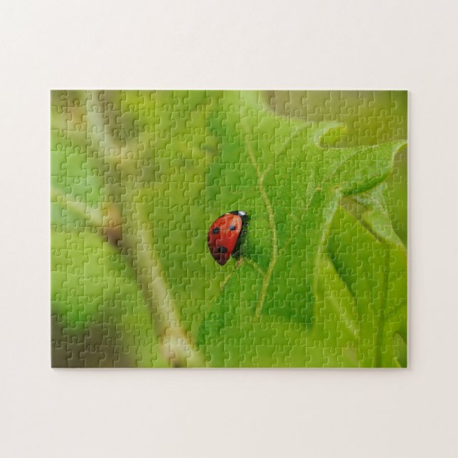 Cute Ladybug in Green Leaves Nature Puzzle (Horizontal)