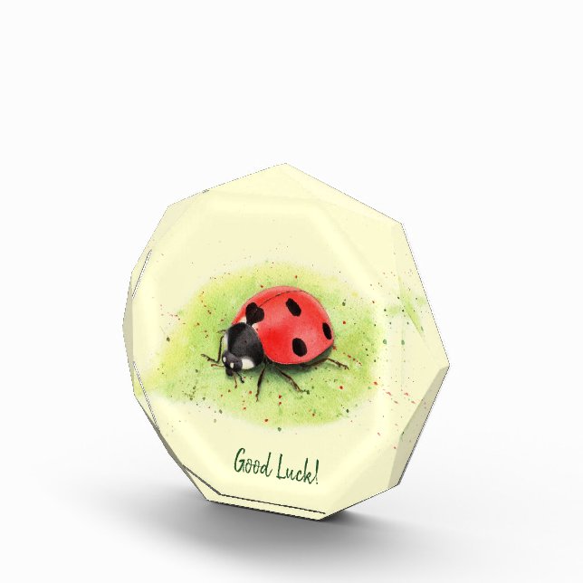 Cute Ladybug on a leaf Photo Block (Right)