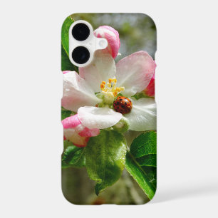cute Ladybug on white Apple blossom flowers