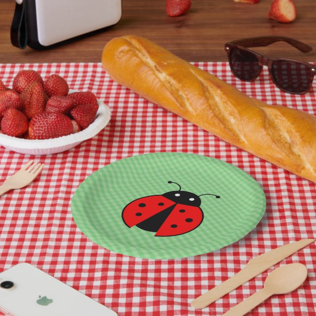 Cute ladybug paper plate (Picnic)