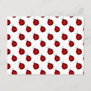 Cute Ladybug Pattern Postcard