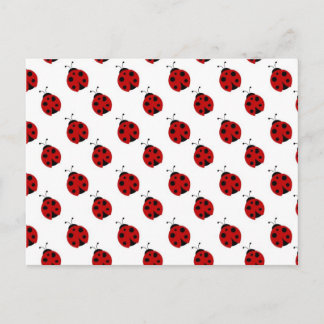 Cute Ladybug Pattern Postcard