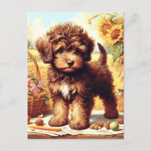 Cute Lagotto Romagnolo Painting Postcard (Front)