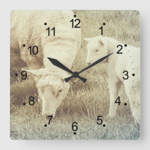 Cute Lamb and Mama Ewe Sheep Square Wall Clock