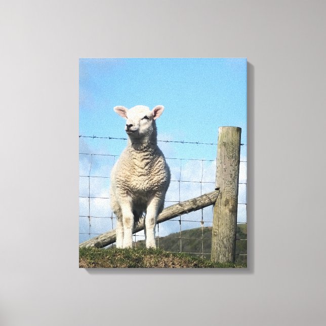 CUTE LAMB CANVAS PRINT (Front)