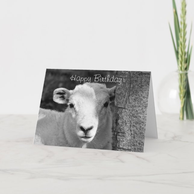 CUTE LAMB CARD (Front)