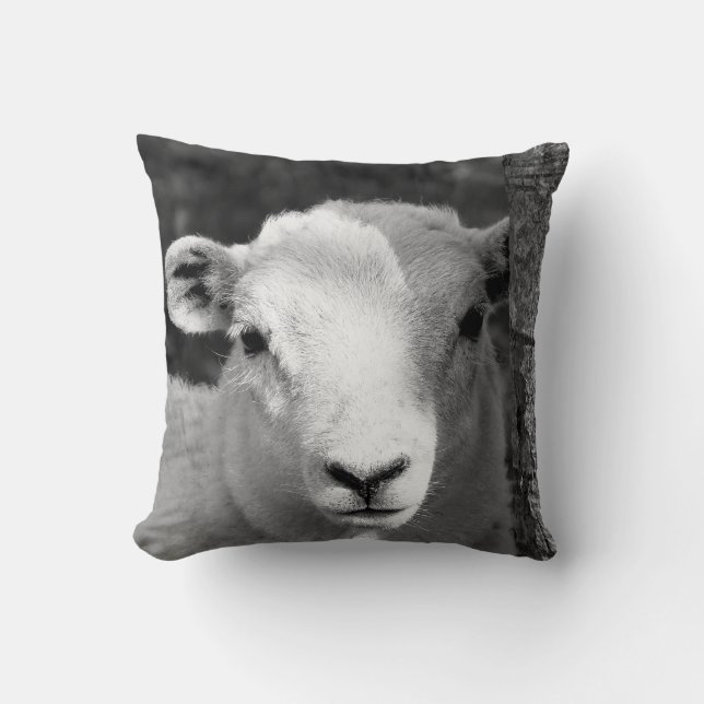 CUTE LAMB CUSHION (Front)