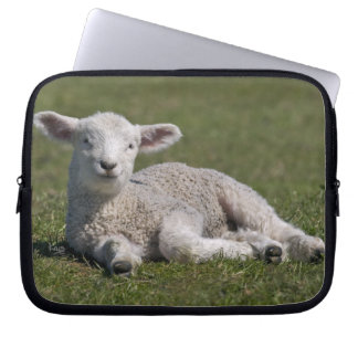 Cute Lamb Laptop Sleeve