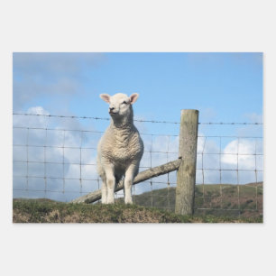 CUTE LAMB    WRAPPING PAPER SHEET