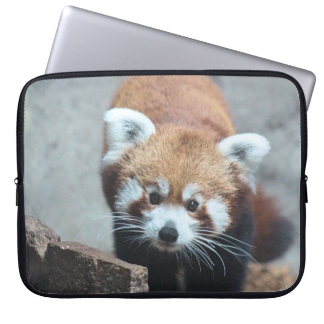 Cute Laptop Sleeve (Front)