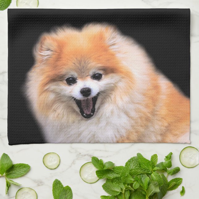 Cute Laughing Pomeranian Dog Tea Towel (Folded)