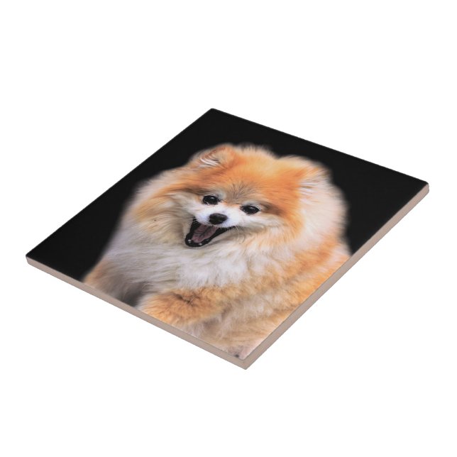 Cute Laughing Pomeranian Dog Tile (Side)