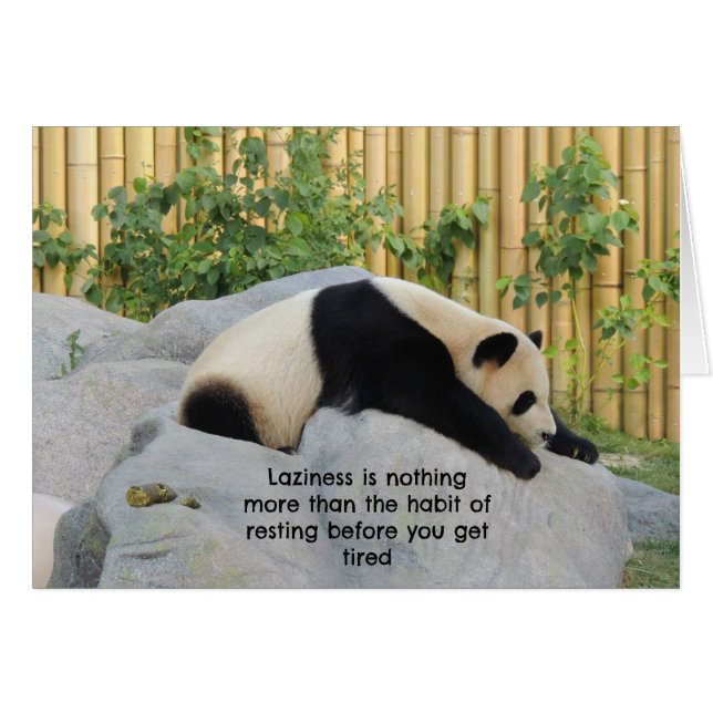 Cute Lazy Day Panda (Front Horizontal)