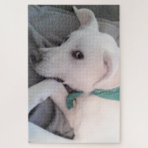 Cute Lazy White Dog Wearing Green Scarf Jigsaw Puzzle