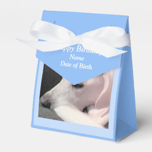 Cute Lazy White Labrador Mix Dog Birthday Blue Favour Box