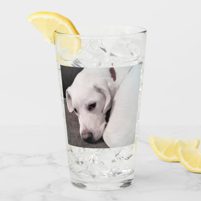 Cute Lazy White Labrador Retriever Mix Dog Glass (Front Ice)