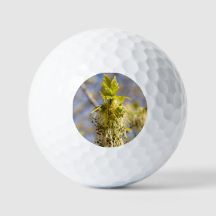 Cute leaves in spring photo golf balls