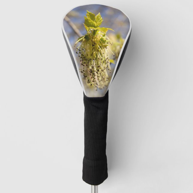 Cute leaves in spring photo golf head cover (Front)