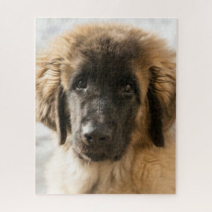 Cute Leonberger Puppy Jigsaw Puzzle