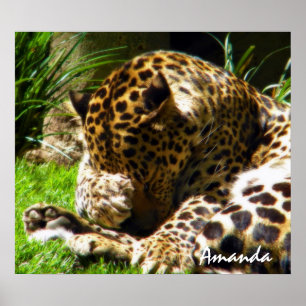 Cute Leopard Animal Photography Wall Art