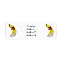 Cute lesser bird of paradise illustration