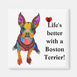 Cute Life's Better with a Boston Terrier Magnet