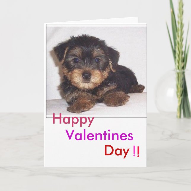 cute lil puppy, Valentines, Day, Happy, !, ! Holiday Card (Front)