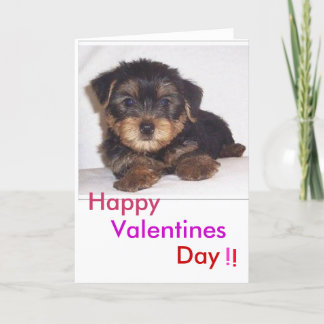 cute lil puppy, Valentines, Day, Happy, !, ! Holiday Card