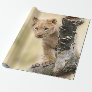 Cute Lion Cub in a Tree Wrapping Paper